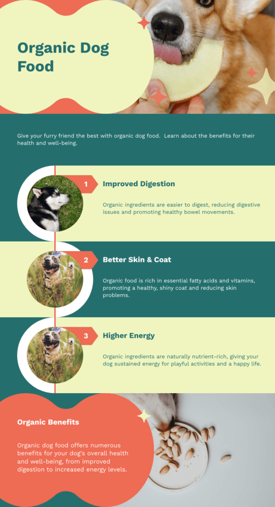 Top 5 Organic Dog Food Best Brands for Your Furry Friend